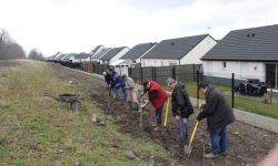 Plantations Cavalier   029